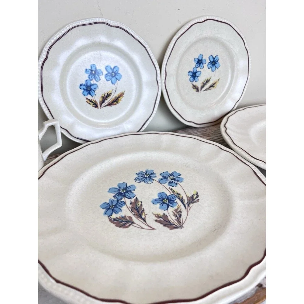 Vintage Kensington Staffordshire Ironstone Dinnerware Set Hyde Park